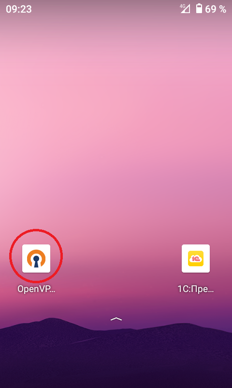 Программа OpenVPN на рабочем столе ТСД