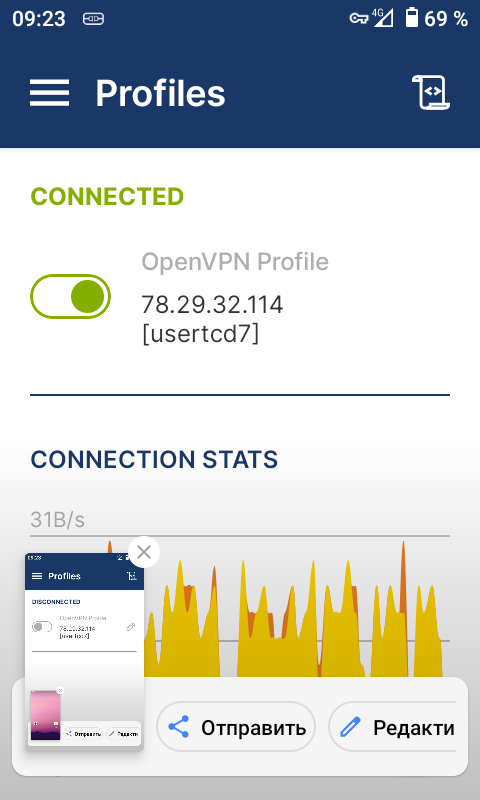 Кнопка OpenVPN стала зелёной — связь установлена